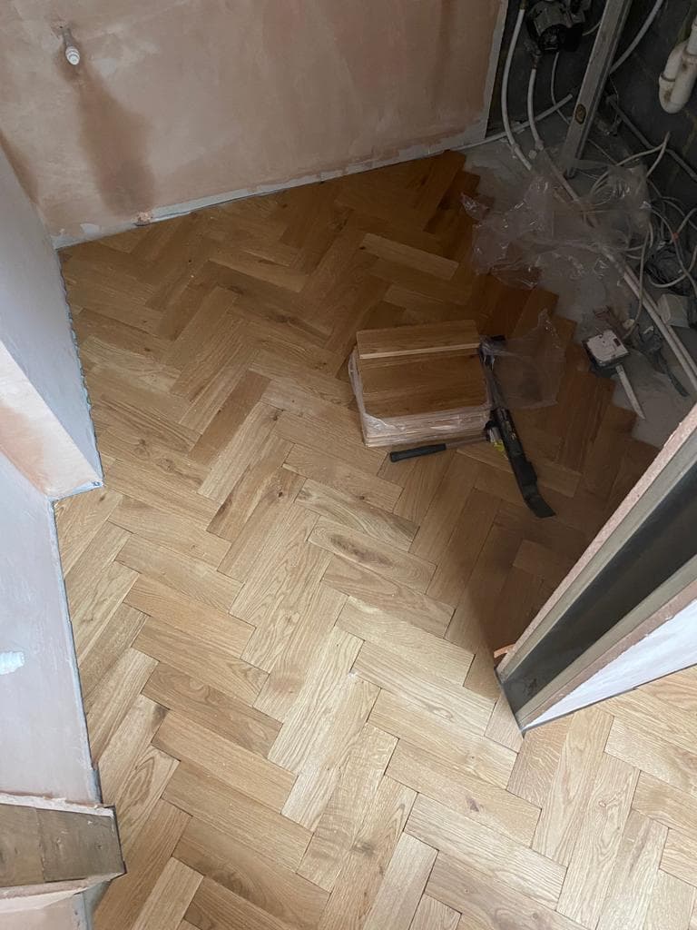 House extension in Bow